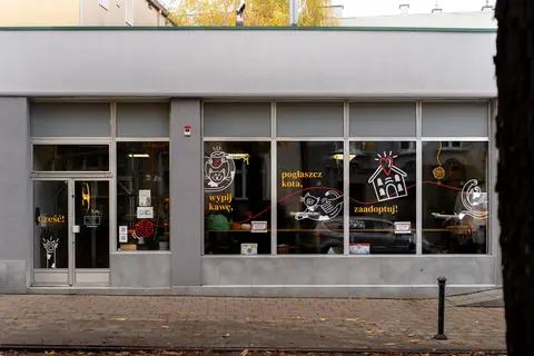 Grafiki wycinane z folii na witrynie kociej kawiarni